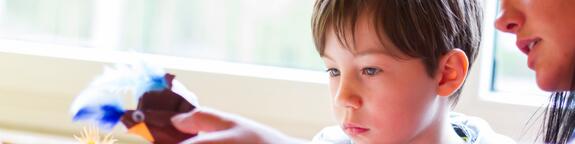 Familienbildungsprogramm